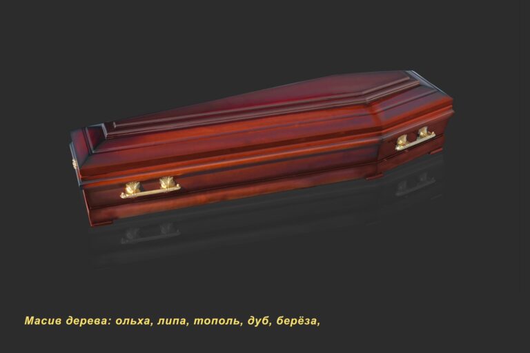 Черепаха